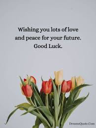 Best of luck to you in your future endeavor is a wish that some effort or project you will perform in the future will go well. 150 Best Wishes Messages And Quotes For Good Luck Dreams Quote