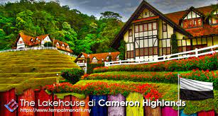 Dan termasuk daerah yang memiliki kawasan kebun teh terbesar di malaysia. The Lakehouse Tempat Menarik Di Cameron Highland Tempat Menarik