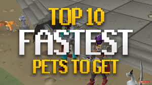 Essential quests for all osrs accounts. Easiest Pets To Get In Osrs Fastest Drop Rate
