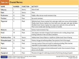 Pin On Nursing Neuro