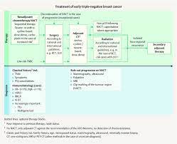 Although the percentage of cases in men is much lower than in women, male breast cancer accounts for a por. Diagnosis And Therapy Of Triple Negative Breast Cancer Tnbc Recommendations For Daily Routine Practice Abstract Europe Pmc
