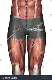 Acupuncture Point Cv2 Qugu 3d Illustration Stock Illustration 513289882
