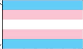 You may click images above to enlarge them and better understand transgender flag emoji meaning. Transgender Flagge Transman Shop