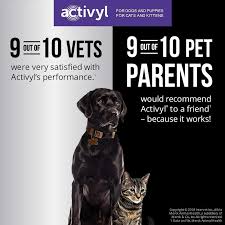 Activyl For Cats Kittens