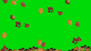 Browse relevant sites & find attention deficit hyperactivity disorder. Daun Green Screen Full Hd Youtube