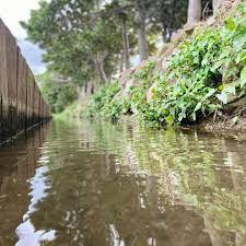摸蛤兼洗褲體驗 龍水社區 生態旅遊 屏東 台灣 farmer pingtung taiwan in 2021 structures