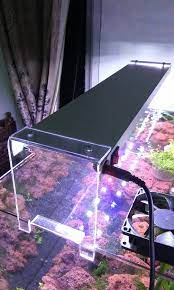 Check spelling or type a new query. Lampu Led Diy Aquascape Aquarium Perlengkapan Hewan Aksesoris Hewan Di Carousell