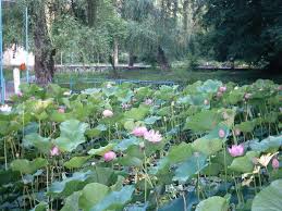 Oferta revelion la hotel international din baile felix. Baile Felix