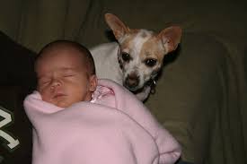 Bradie Lynn McCallum