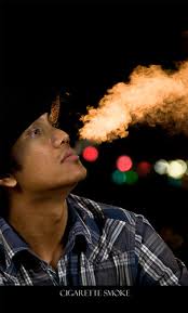 27 Incredible Bokeh Photographs