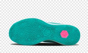 Malvorlagen Produktdesign Schuh Cross Training Elite Kd Schuhe Ausmalbilder Aqua Cross Trainingsschuh Png Pngegg