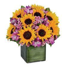 We would like to show you a description here but the site won't allow us. Conroy S Costa Mesa Fresh Flowers In Costa Mesa Ca Same Day Flower Gift Delivery