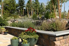When i look at this backyard design by sawyer berson, i can almost hear the sound of the fountain. How Landscaping Services Add Year Round Color To Backyard Landscaping In Carson City Nv Firesky Outdoor Designed By Landscape Architects Built By Craftsmen