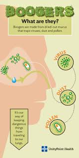 What Are Boogers Why Boogers Are Good For Health Unitypoint Health