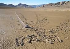 Image result