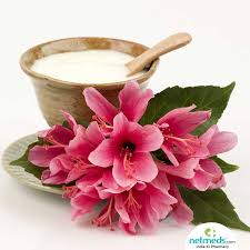 Check spelling or type a new query. Hibiscus Stunning Beauty Benefits Of Vibrant Red Flower You Should Know