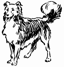 U didnt leave any info on how to contact you. Line Art Drawing In Black And White Of A Playful Long Haired Dog Line Art Drawings Dogs Love Birds