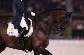 Since then, this sport has been on the olympic programme with remarkable regularity. H1jwjpexlv1spm