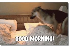 Good morning images, photo, picture for whatsapp & facebook. Good Morning Gifs 160 Beautiful Animated Pictures