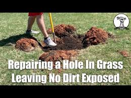 Maybe you would like to learn more about one of these? The Best Way To Fill A Hole In Grass No Dirt Showing Youtube