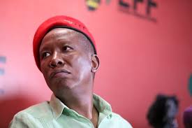 So these popcorn and mushrooming political parties in zimbabwe, they will never find friendship in us. Julius Malema Heads To Court To Challenge The Riotous Assemblies Act