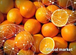 Telefonia komórkowa i stacjonarna, internet domowy i mobilny, telewizja i więcej. Overview Global Orange Market