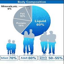 All About Dehydration Precision Nutrition