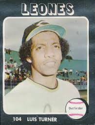 Luis Turnes Cards