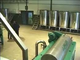 Olive Oil Extraction Youtube