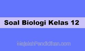 Soal Biologi Kelas 12 Sma Smk Ma 2021 Dan Kunci Jawabannya