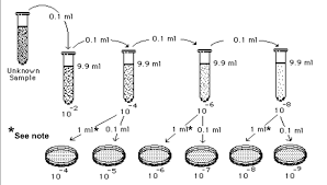 The cfu/ml can be calculated using the formula: Https Www Sas Upenn Edu Labmanuals Biol275 Table Of Contents Files 14 Enumeration Pdf