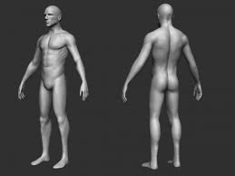All 3d Models Free 3d All Download 3d Model Model Male