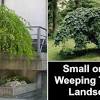 Maybe you would like to learn more about one of these? 3