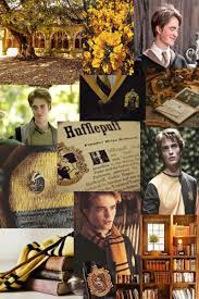 Packs cedric diggory | tumblr. Cedric Diggory Hufflepuff Harry Potter Pictures Harry Potter Characters Harry Potter Wallpaper