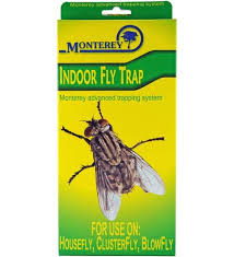 When bare of hair he strips the hare, right there i. Indoor Fly Trap By Monterey 4pk Planet Natural