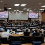 Redes territoriales posicionan en la ONU la defensa de los derechos indígenas y sus territorios
