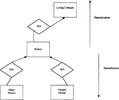 What is a diagram in english. English Chinese And Er Diagrams Semantic Scholar