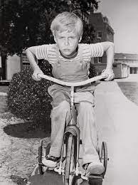 To avoid confusion with the british comic character, the series was known in the uk as just dennis. Dennis The Menace Series Tv Tropes