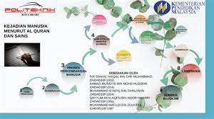 Pada hari yang ketujuh telor yang sudah dibuahi itu akan tertanam di dinding rahim (qarar makin). Kejadian Manusia Menurut Al Quran Proses Penciptaan Manusia Menurut Al Quran Dan Ilmu Manusia Serta Peringkat Proses Kejadian Manusia Gilbranin