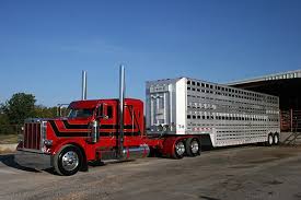 Livestock Haulers Exempt From Hos Changes Trucks Big Rig Trucks Big Trucks