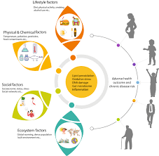 Poor diets high in salt, sugar and fat and low in fruit and vegetables; Precision Medicine In The Era Of Artificial Intelligence Implications In Chronic Disease Management Journal Of Translational Medicine Full Text