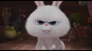 Directed by chris renaud, yarrow cheney. Create Meme Rabbit The Secret Life Of Pets Snowball The Secret Life Of Pets Pictures Meme Arsenal Com