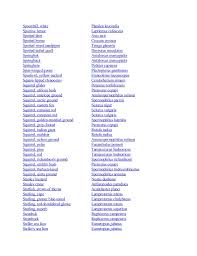 Learn about african animals with this list with facts a to z learn about some interesting animals from africa. Animal List A To Z