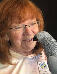 Obituary information for Cindy J. Merrick