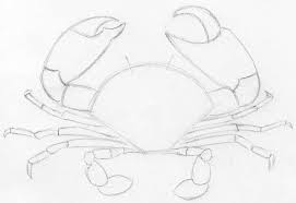 You can edit any of drawings via our online image editor before downloading. How To Draw Crab In Pencil