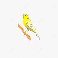 Gambar burung png paling lucu. Burung Clipart Unduh Gambar Pnp Format Transparan Png Gratis Di Pngtree