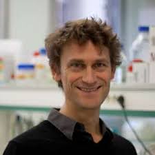 Immune-microenvironment interactions in health and disease — IBMC