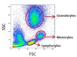 Guide To Gating In Flow Cytometry Flow Cytometry Flow