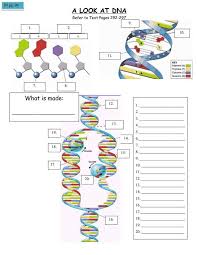 Dna Replication Coloring Worksheet Agricultural Biology Great Dna Identification Worksheet In 2020 Biology Activity Biology Worksheet Teaching Biology