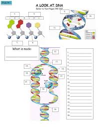 = leading strand input it if you want to receive answer. Math Problem Search Membrane Properties Coloring Worksheet Dna Codon Alien Creation Coloring Worksheet The Cell Cycle Coloring Worksheet Quizlet Tough Math Problems Common Denominators And Equivalent Fractions Worksheets Single Division Worksheets Math